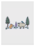 Cascade Mountains Field Guide Sticker