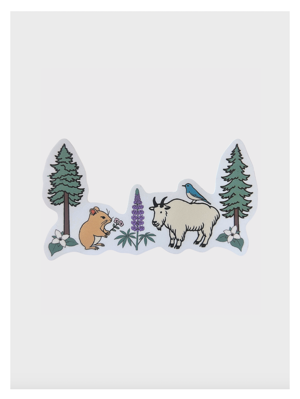 Cascade Mountains Field Guide Sticker