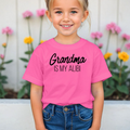 Grandma Alibi Toddler Tees and Sweatshirts