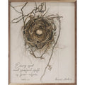 Nest By Bonnie Mohr