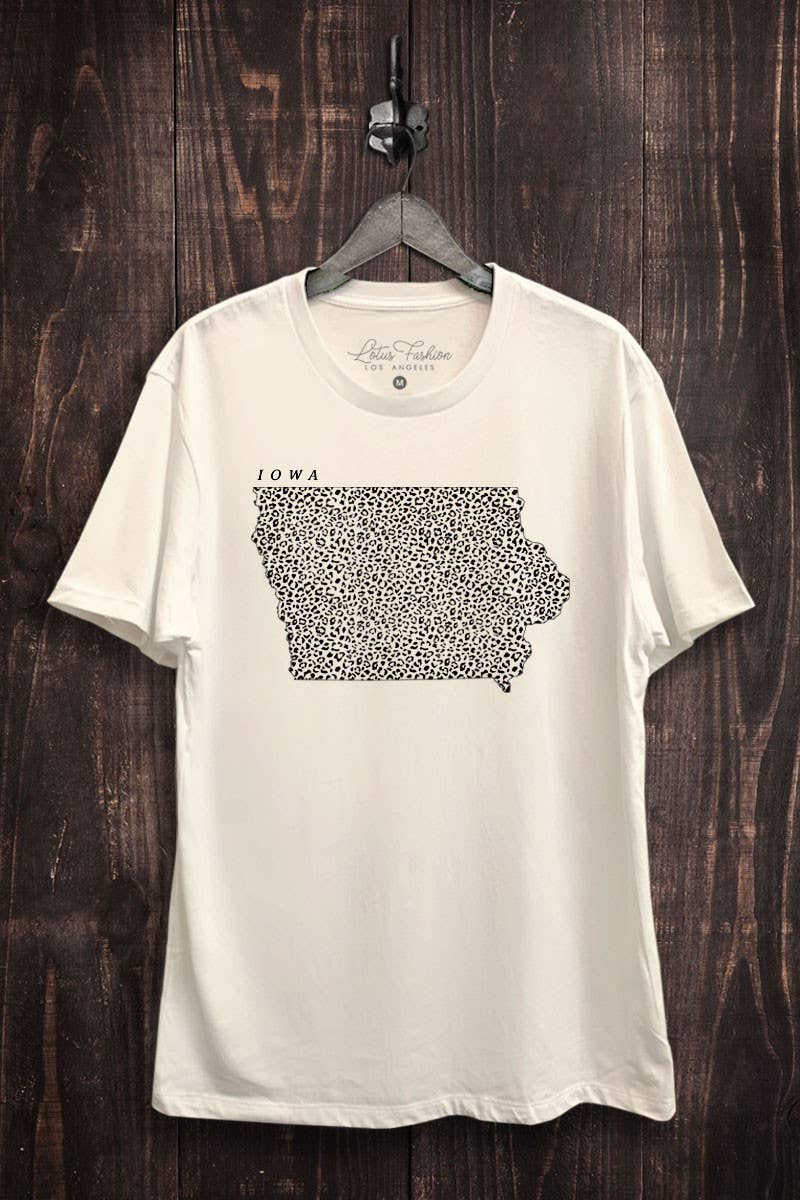 Iowa Map Graphic Top