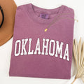 Oklahoma, Football, Game Day, Tailgate Party State Tshirt