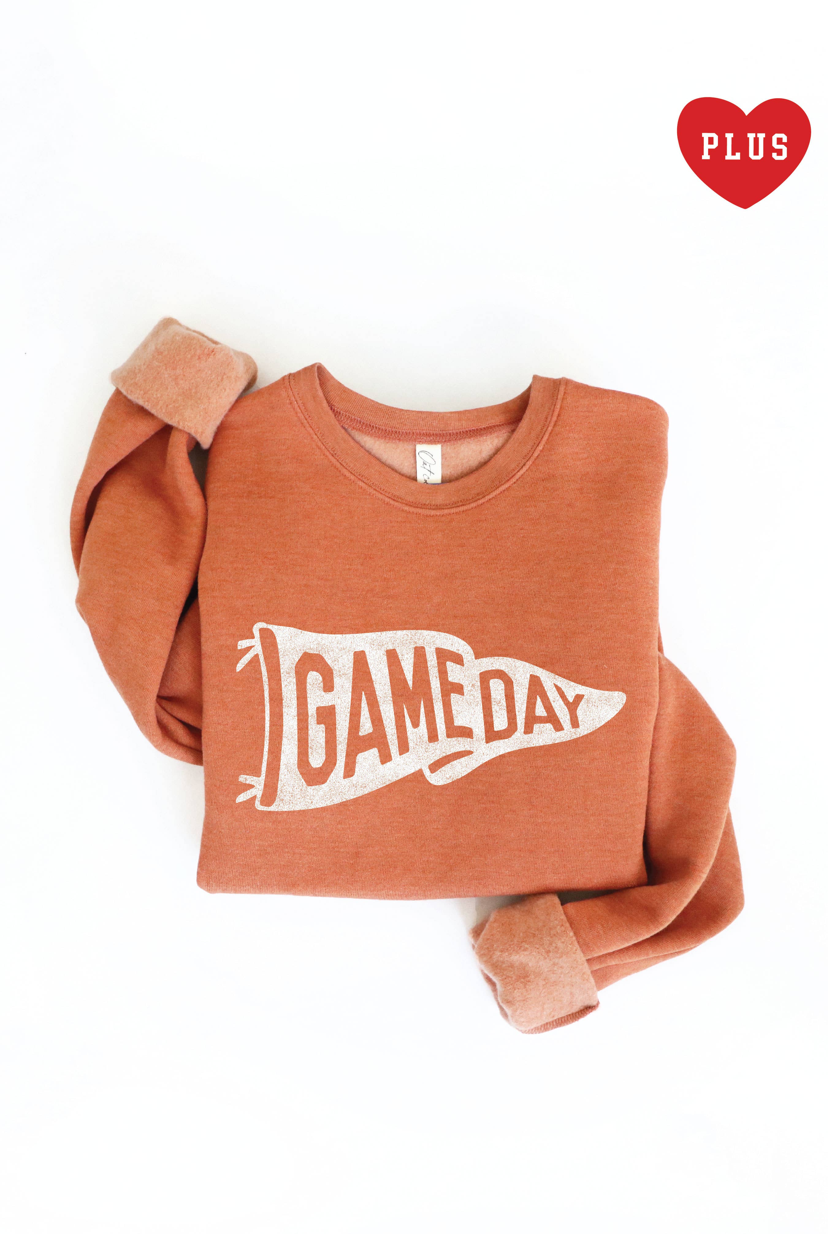 Game Day Pennant  Plus Graphic Sweatshirt