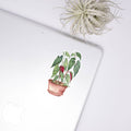Begonia Sticker - House Plant Stickers