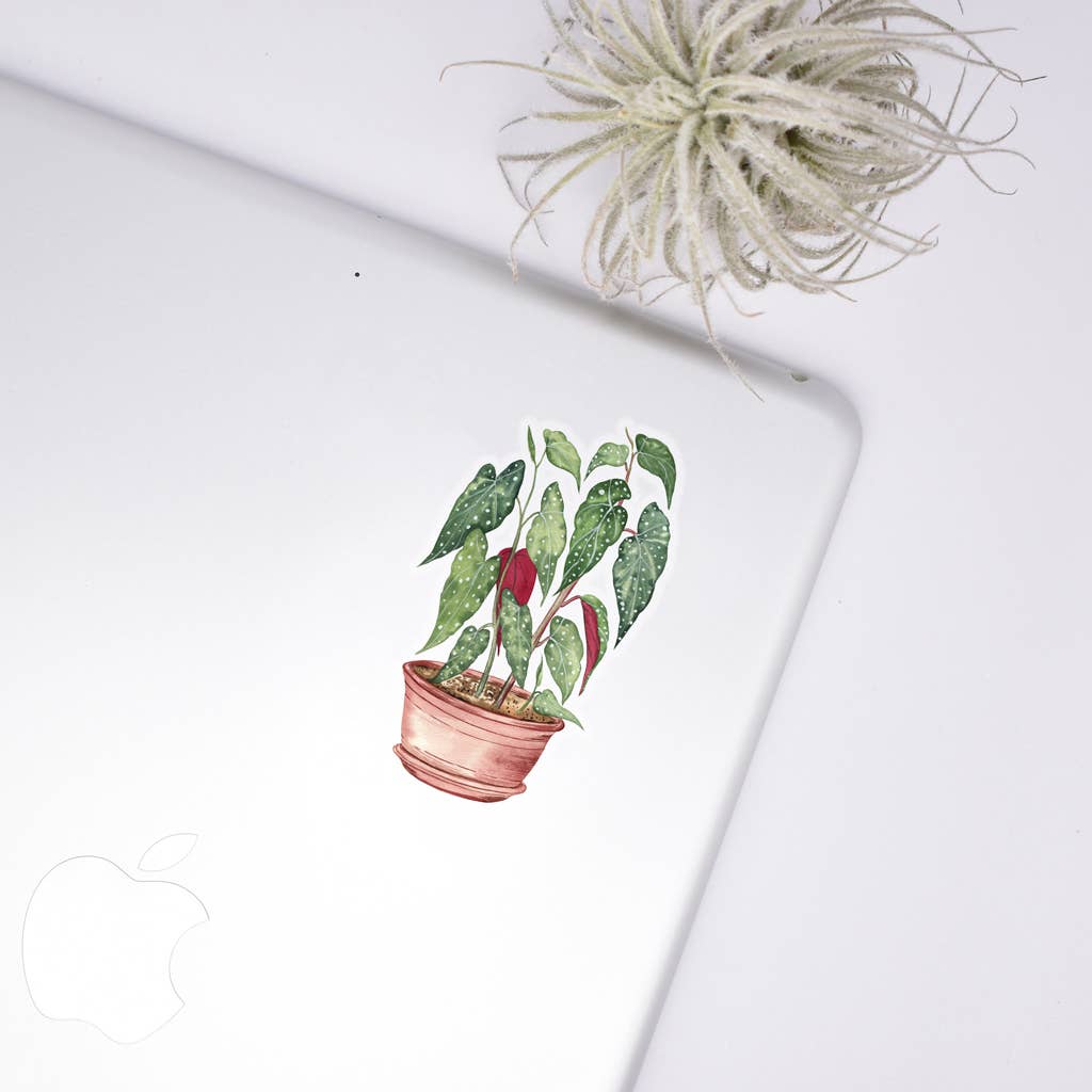 Begonia Sticker - House Plant Stickers
