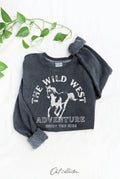The Wild West Mineral Graphic Sweatshirt
