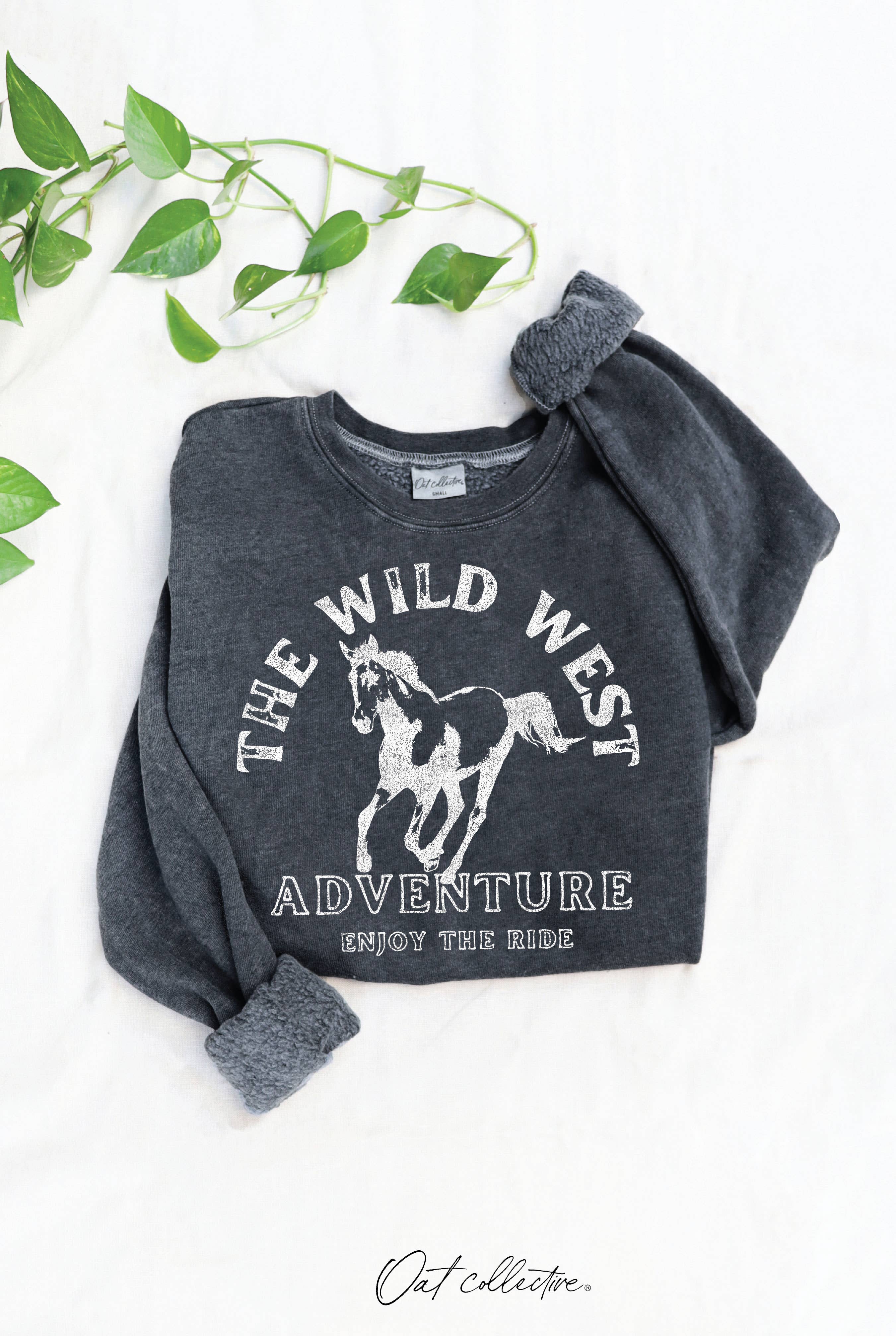 The Wild West Mineral Graphic Sweatshirt