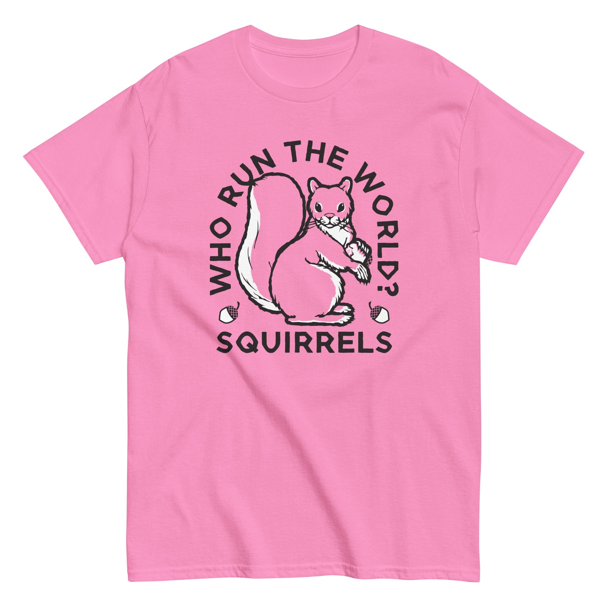 Who Run The World? Squirrels Men's Classic Tee
