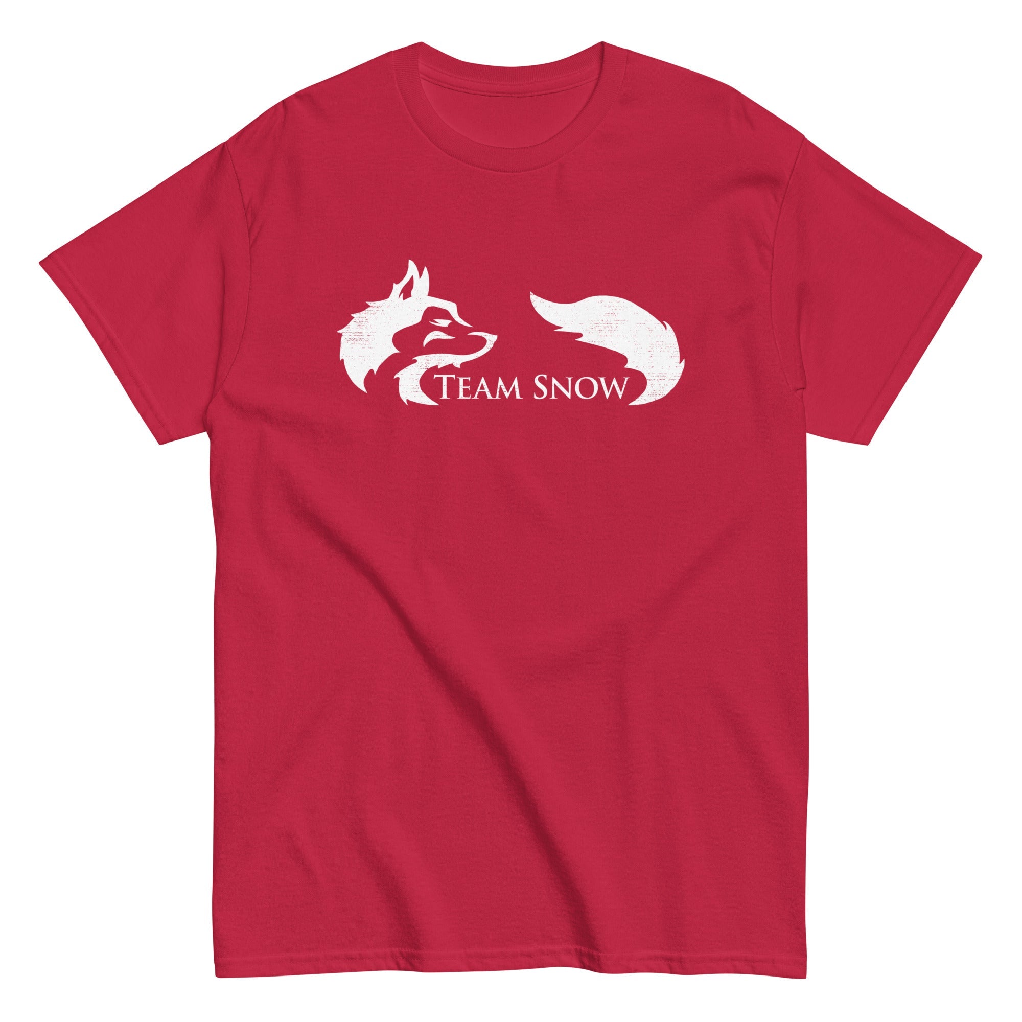 Team Snow Men's Classic Tee
