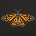 Monarch Butterfly