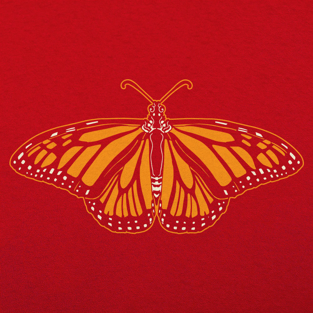 Monarch Butterfly