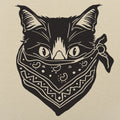 Quarantine Cat