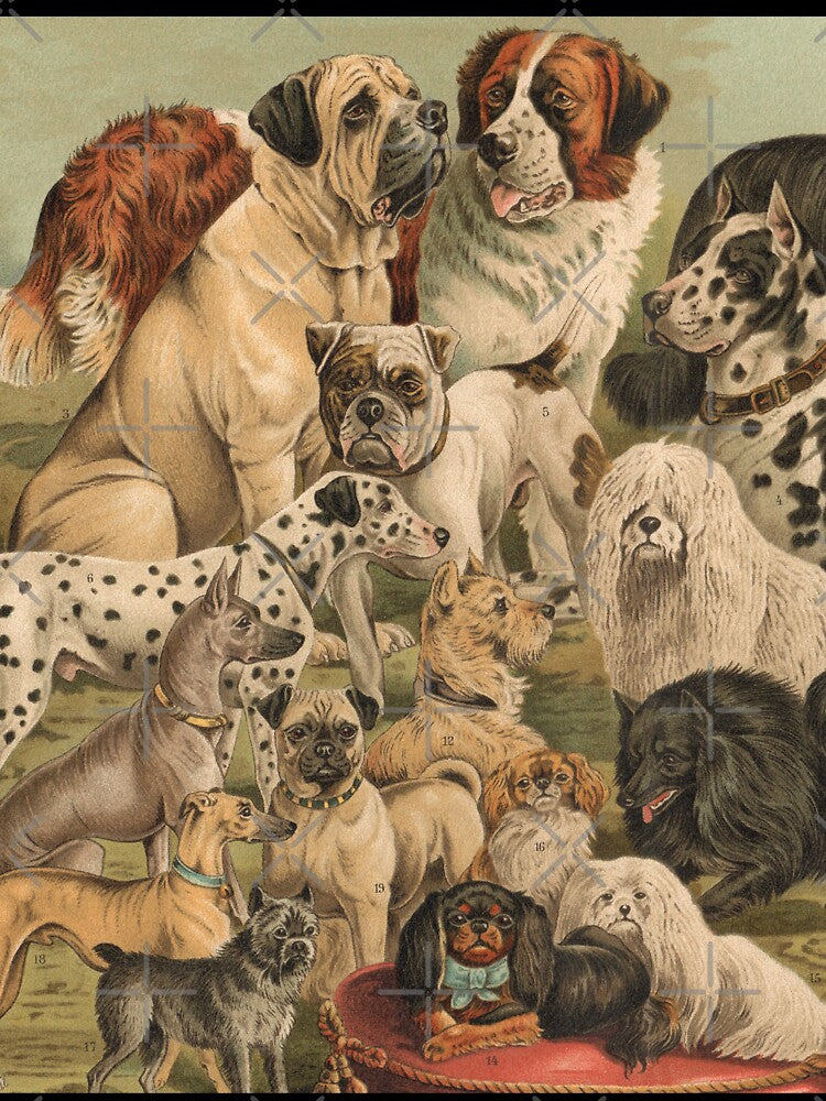 Dogs! by Salocin
