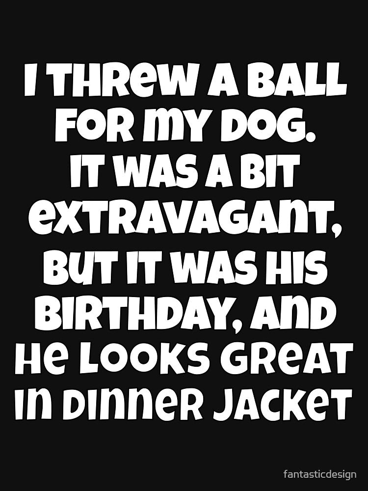 Funny Sarcastic Pun Humor I Threw A Ball For My Dog. It Was A Bit Extravagant I Know by fantasticdesign