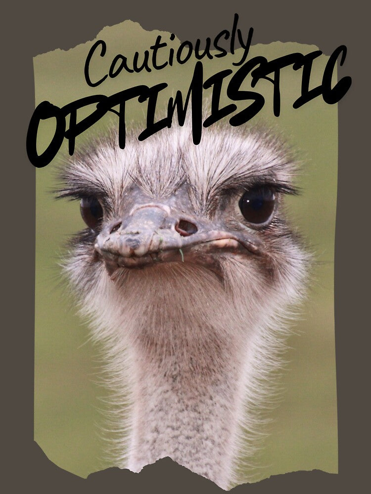 Cautiously Optimistic by toycruisers_merch-butze