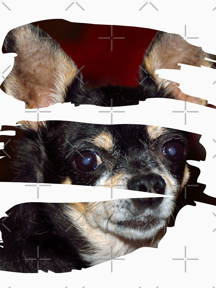 chihuahua-dog by Renovapring ⭐⭐⭐⭐⭐