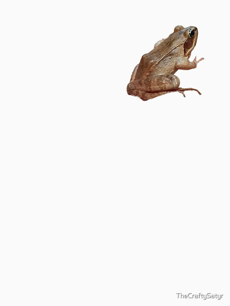 Freddy the Frog by TheCraftySatyr