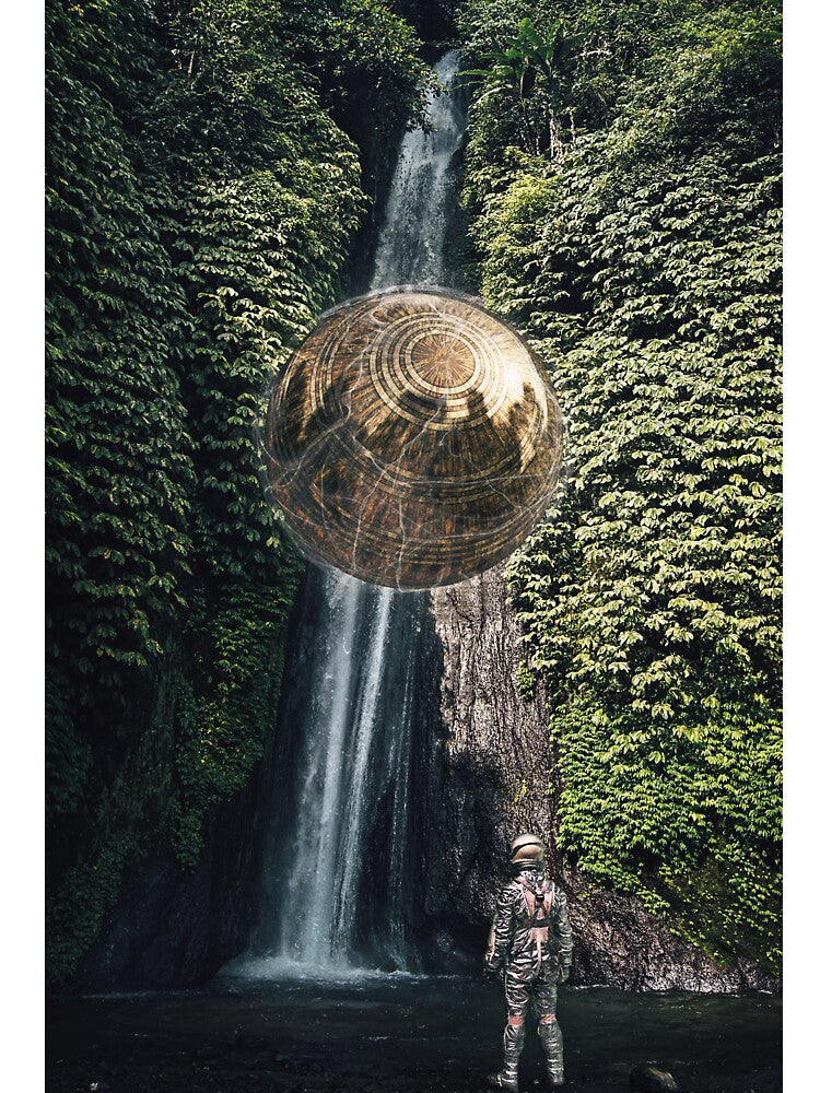 In the Jungle by seamless