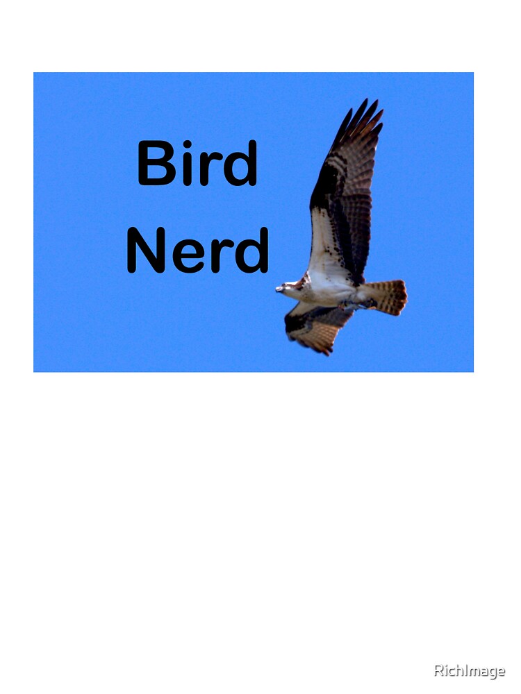 osprey bird nerd by RichImage