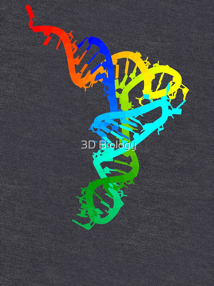tRNA by 3D Biology