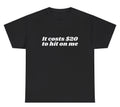It Costs $20 To Hit On Me Y2K T Shirt Funny Sorority Sister Gen Z Meme Gift Tee