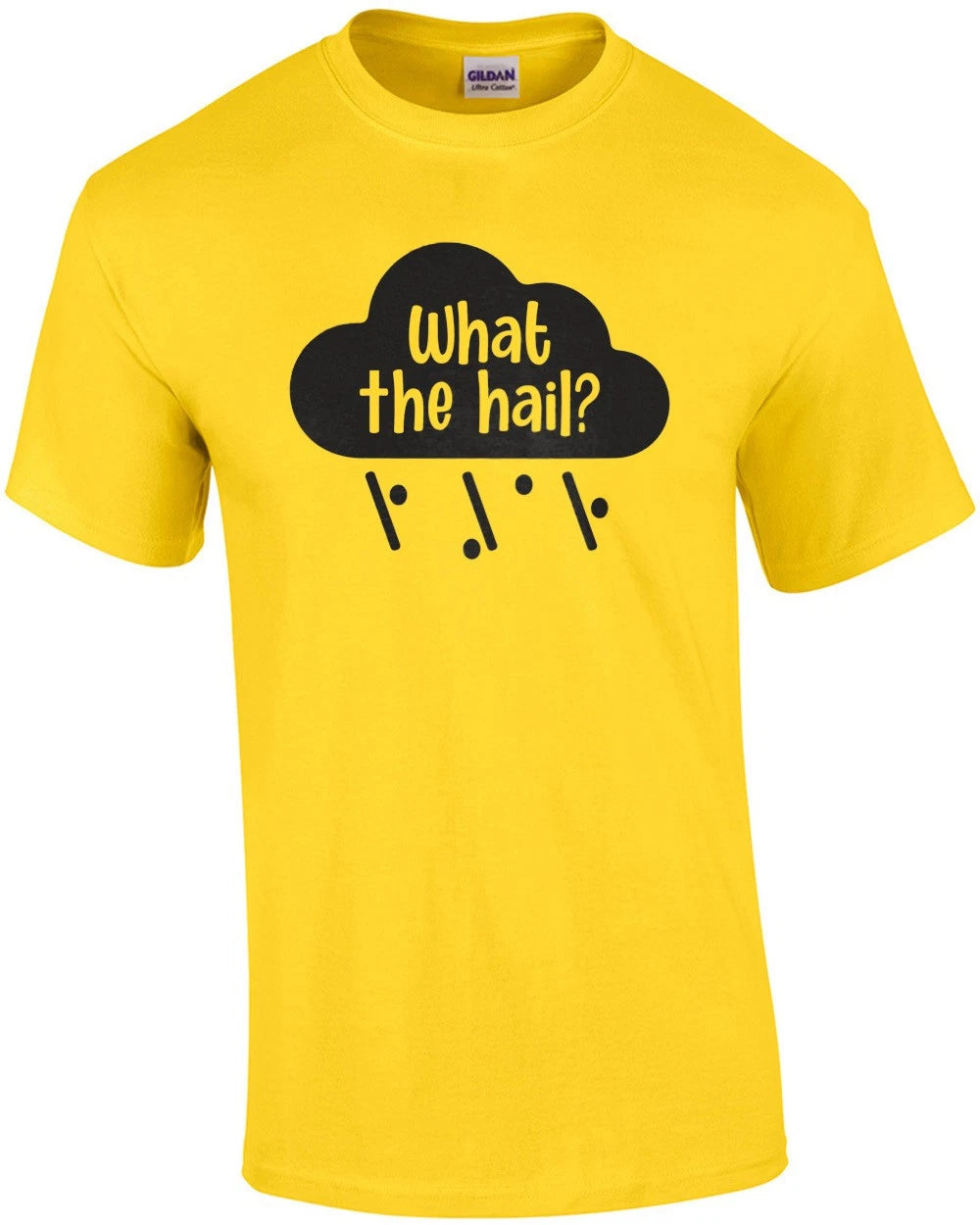 What The Hail? Funny Pun T-Shirt