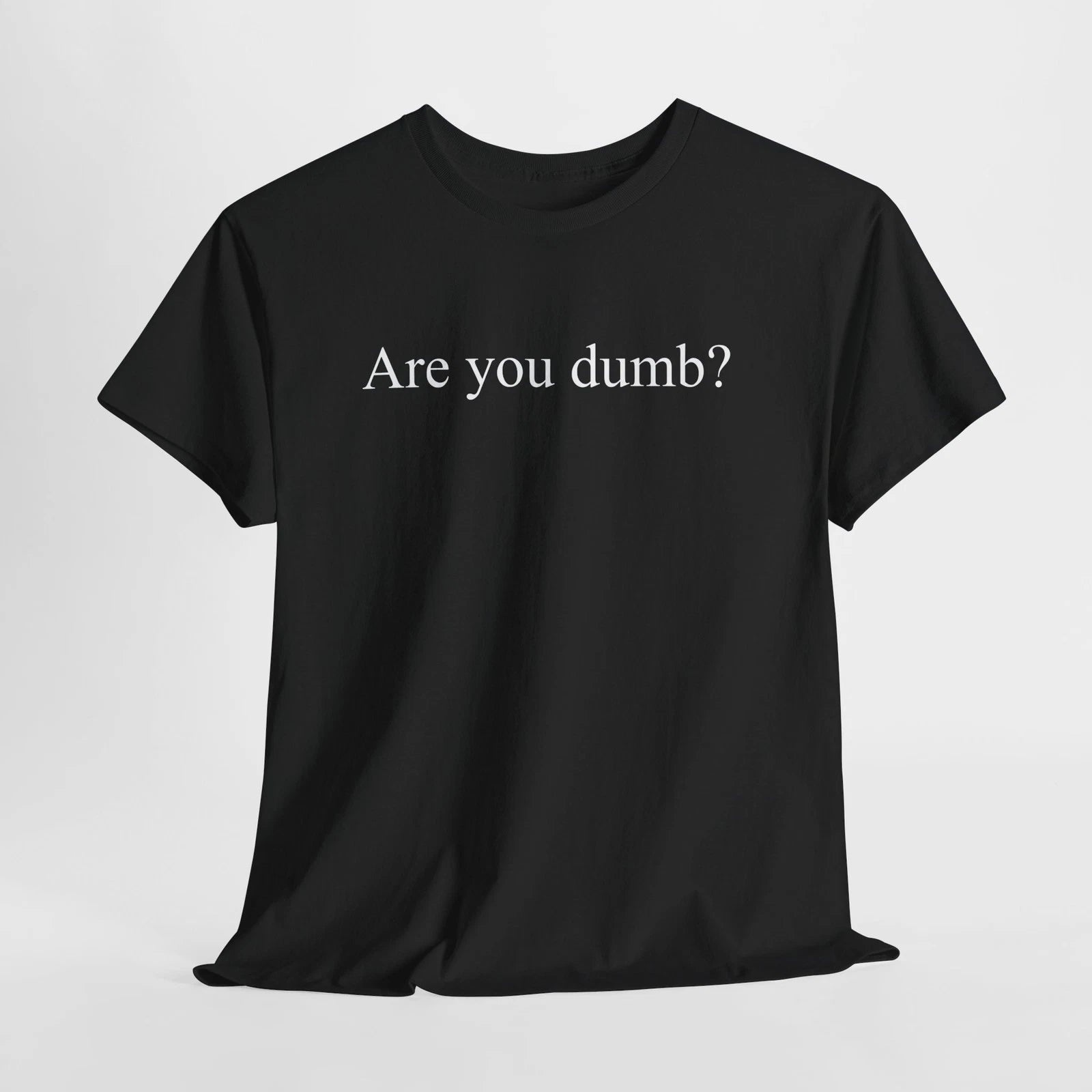 Are You Dumb? Tee Funny Minimal Text Sarcastic Offensive Quote Graphic T-Shirt