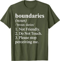 Not Friendly Definition Funny Ironic Meme T-Shirt