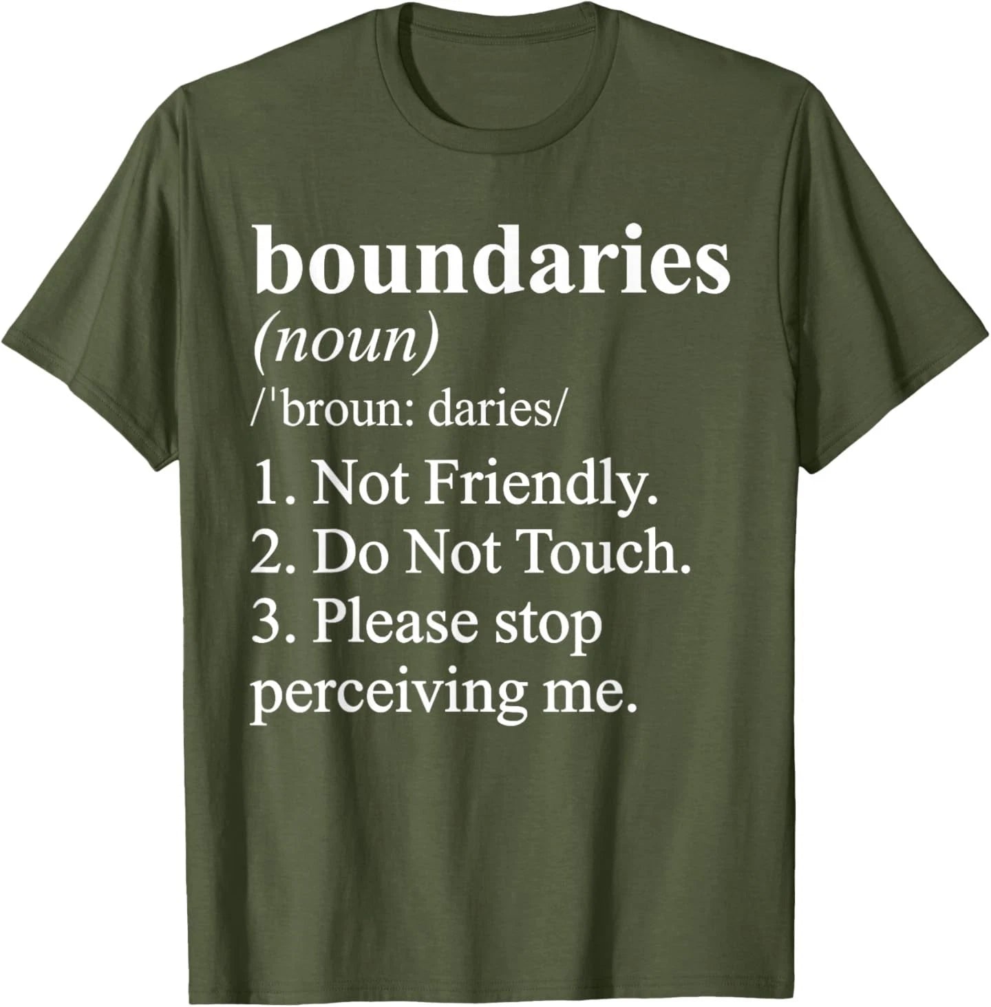 Not Friendly Definition Funny Ironic Meme T-Shirt