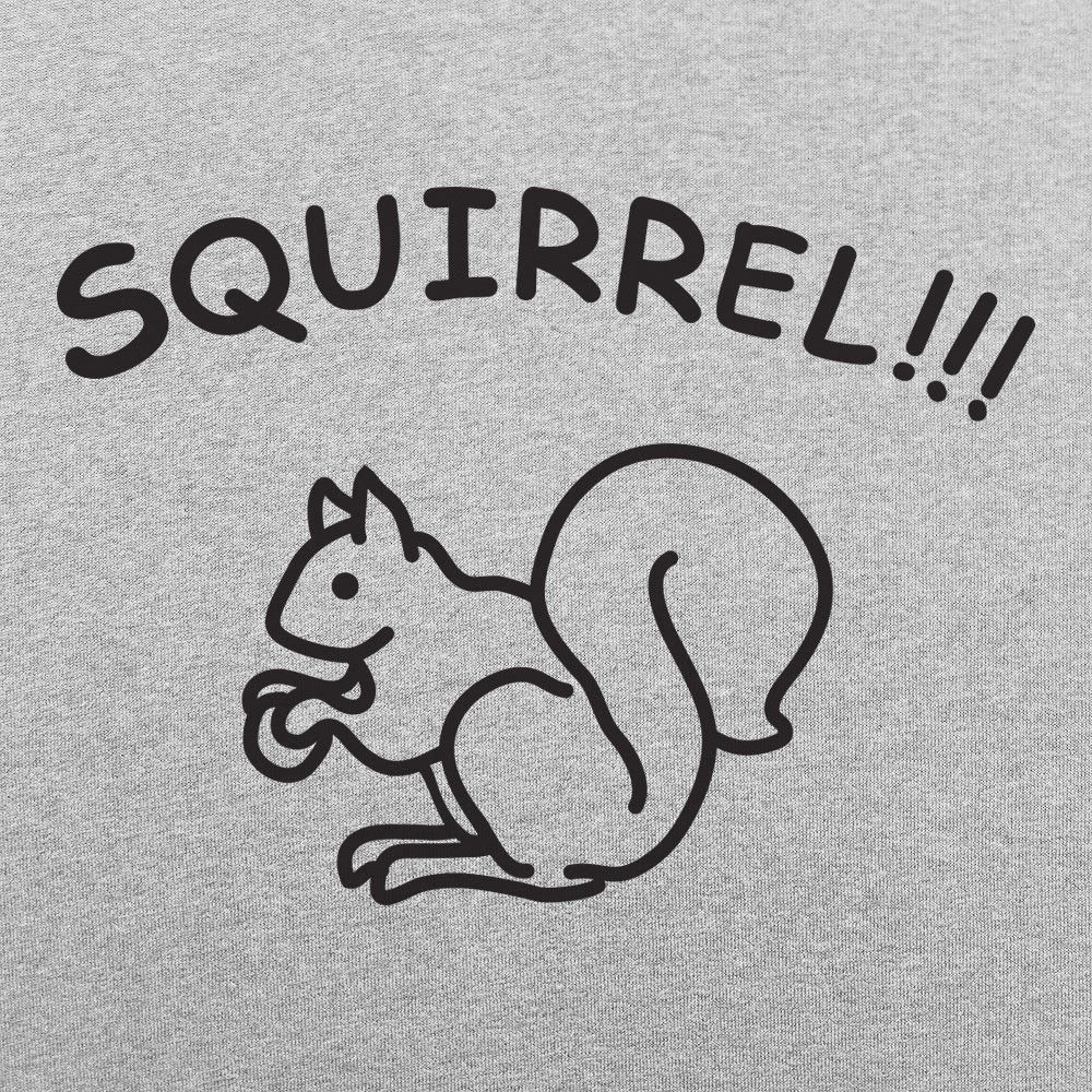 Squirrel