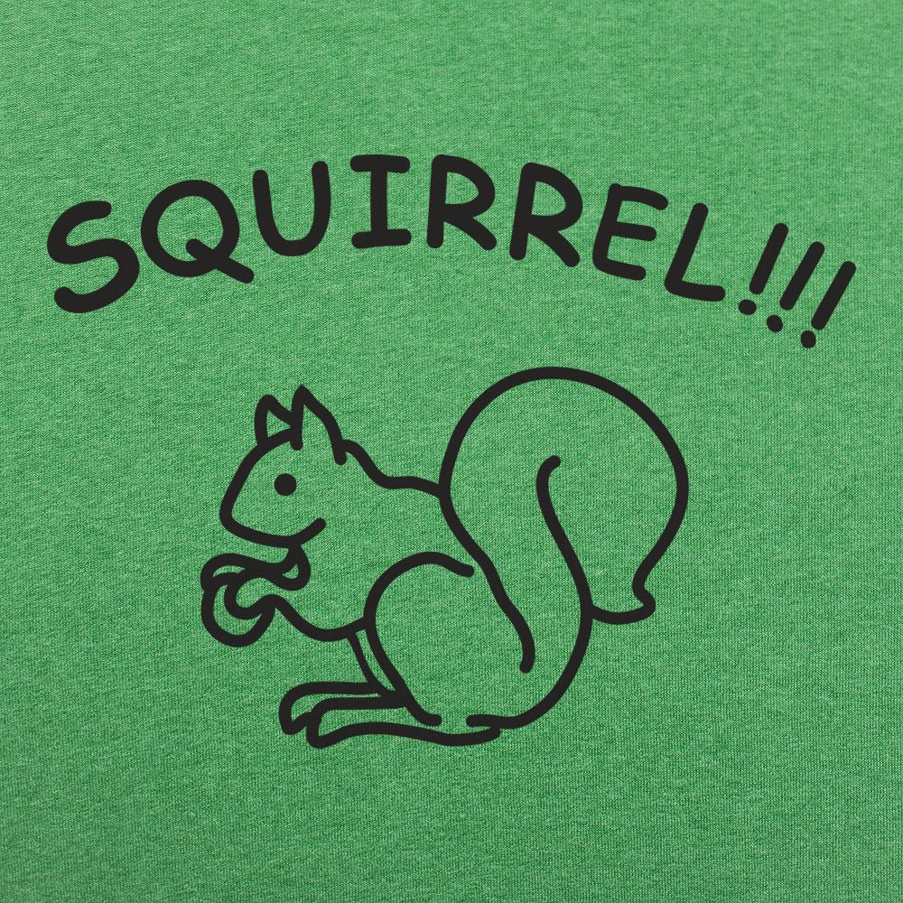 Squirrel