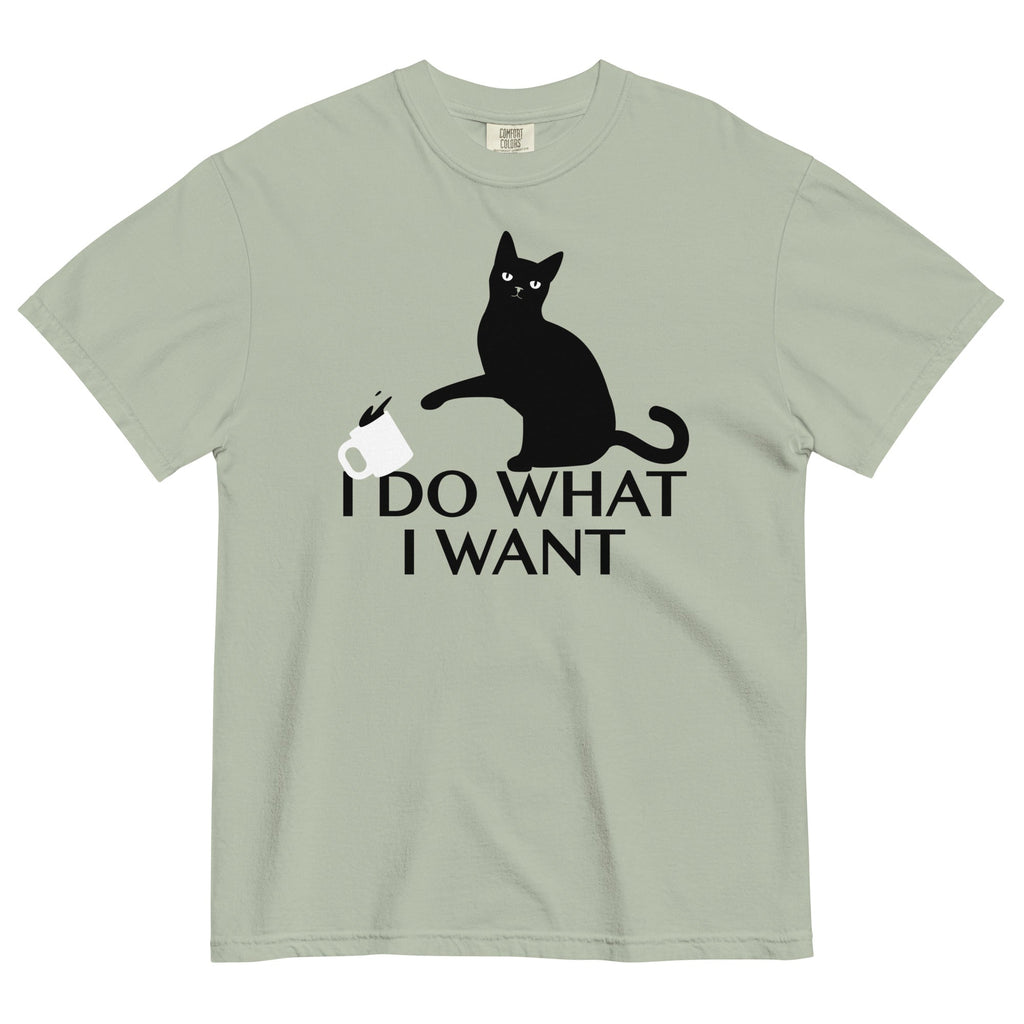 I Do What I Want Men's Relaxed Fit Tee