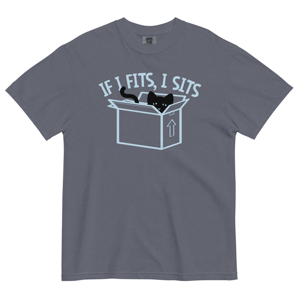 If I Fits, I Sits Men's Relaxed Fit Tee