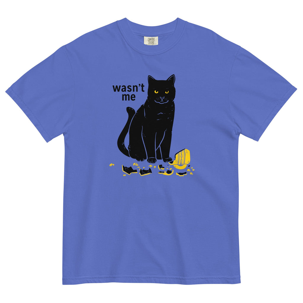 Wasn't Me Men's Relaxed Fit Tee
