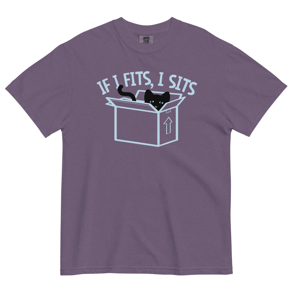 If I Fits, I Sits Men's Relaxed Fit Tee