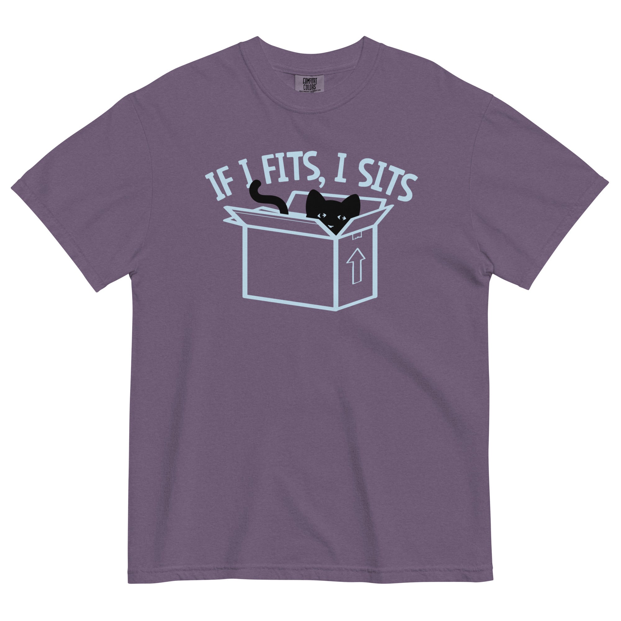If I Fits, I Sits Men's Relaxed Fit Tee