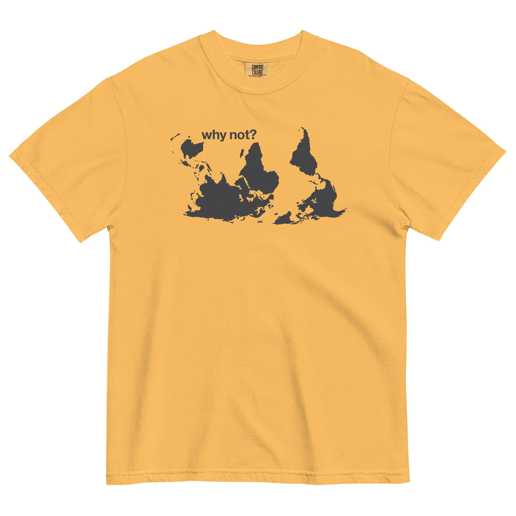 Why Not? Men's Relaxed Fit Tee