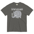 Elephants Never Forgive Men's Relaxed Fit Tee
