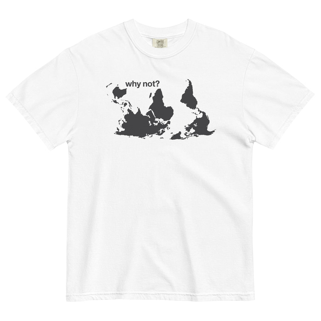 Why Not? Men's Relaxed Fit Tee