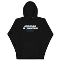 Angular Momentum Unisex Hoodie