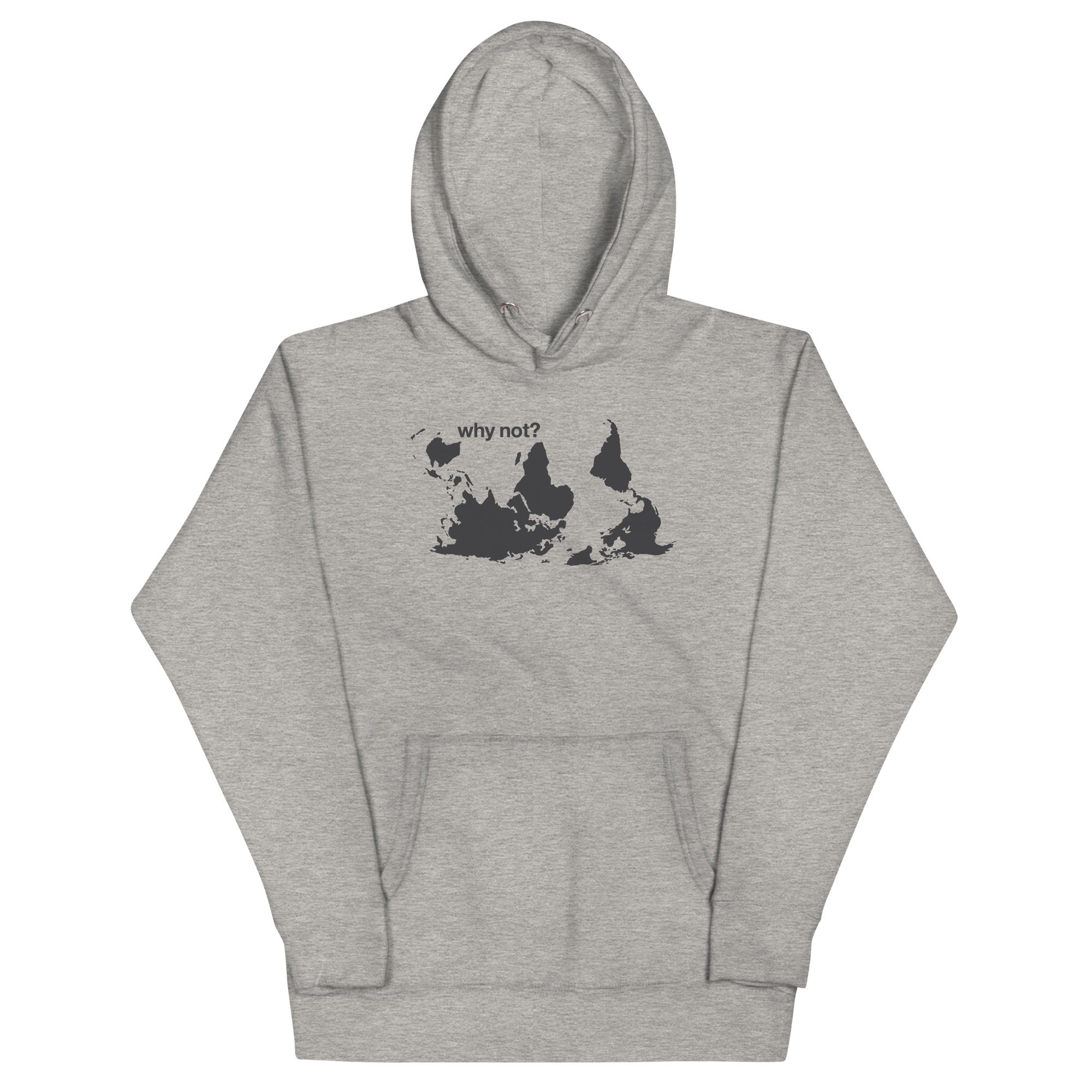 Why Not? Unisex Hoodie