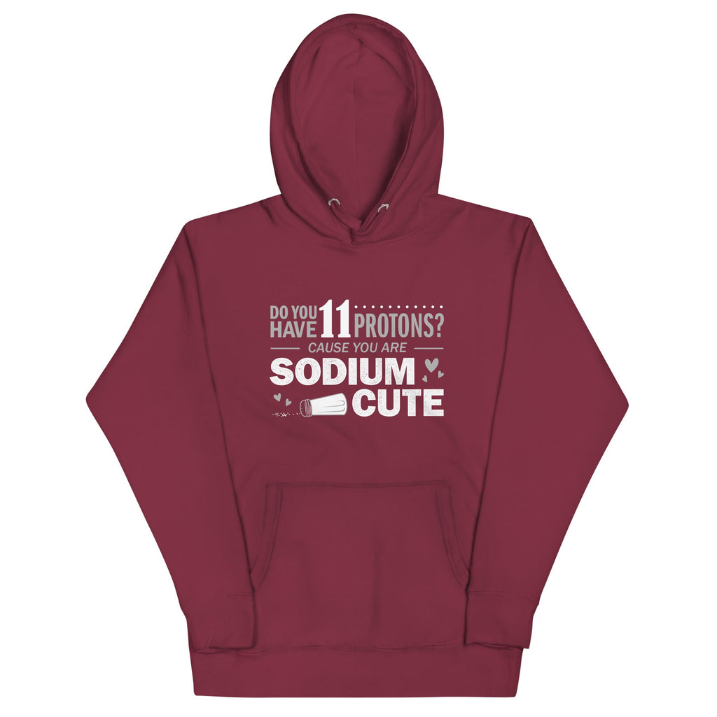 Do You Have 11 Protons? Unisex Hoodie