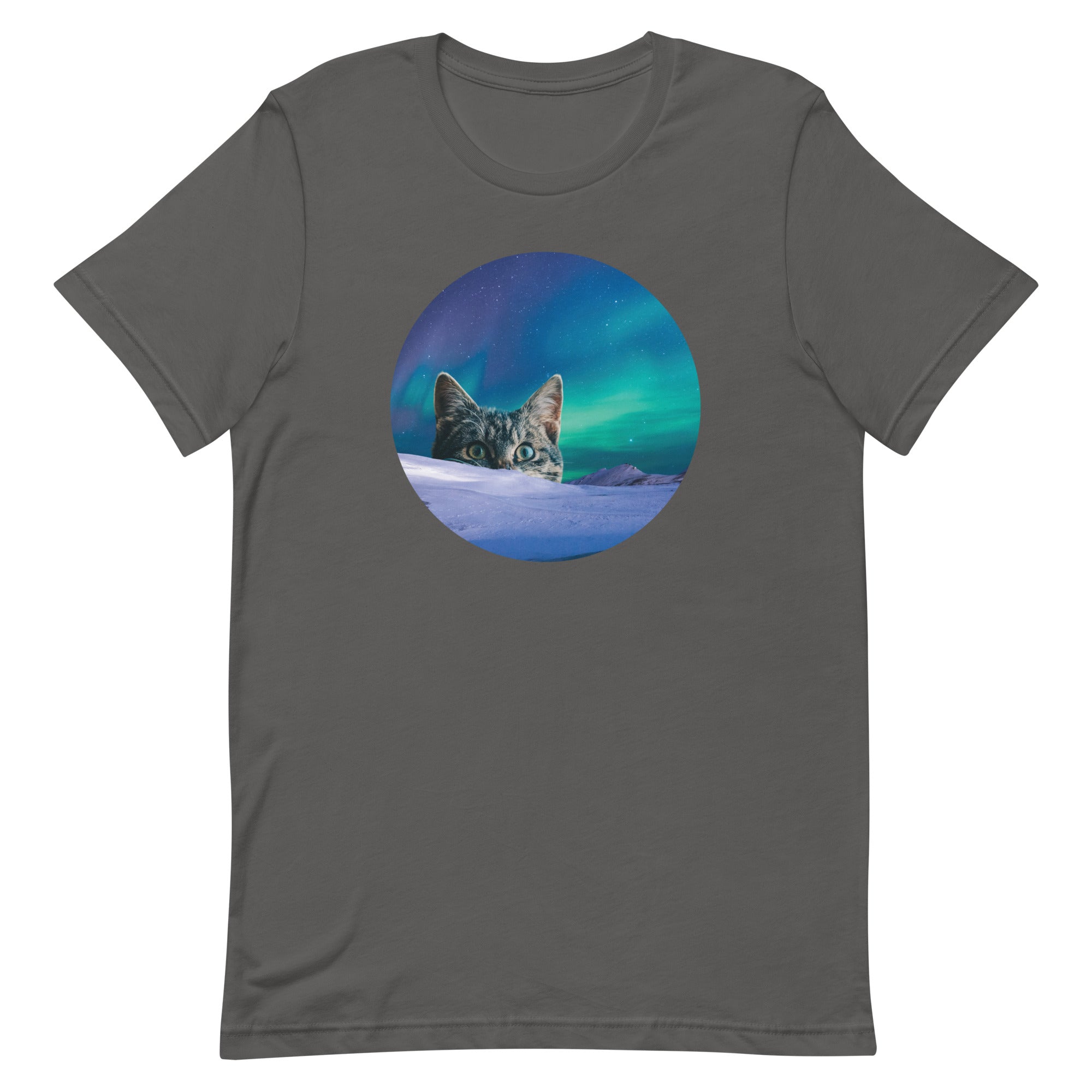 Meowthern Lights Men's Signature Tee