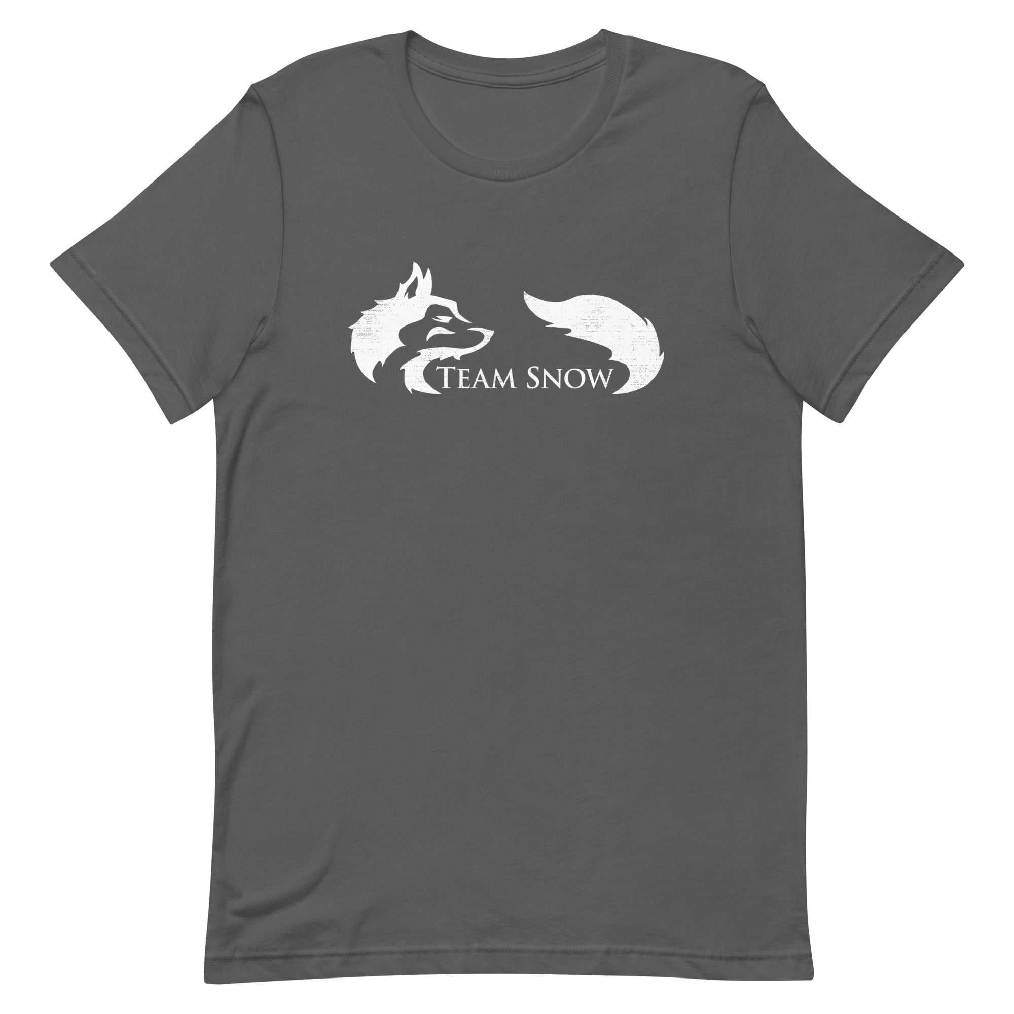 Team Snow Men's Signature Tee