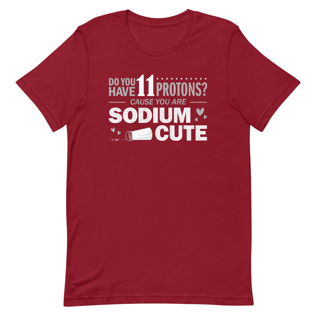 Do You Have 11 Protons? Men's Signature Tee