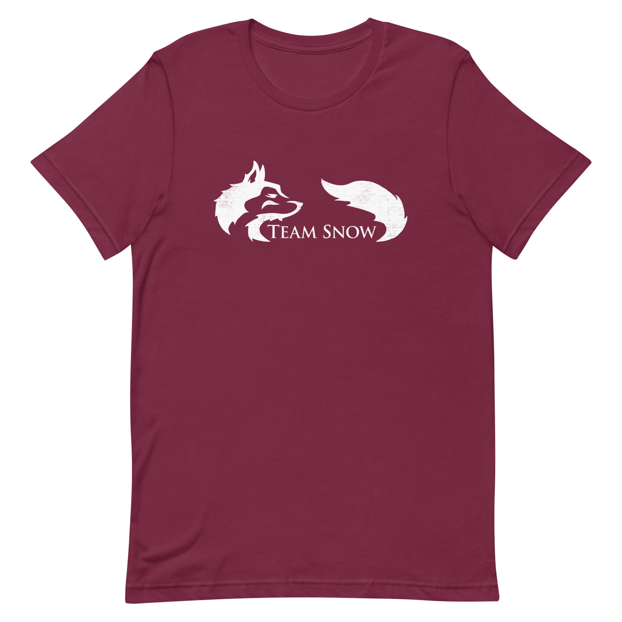 Team Snow Men's Signature Tee