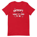 Entropy, It's Not What It Used To Be Men's Signature Tee