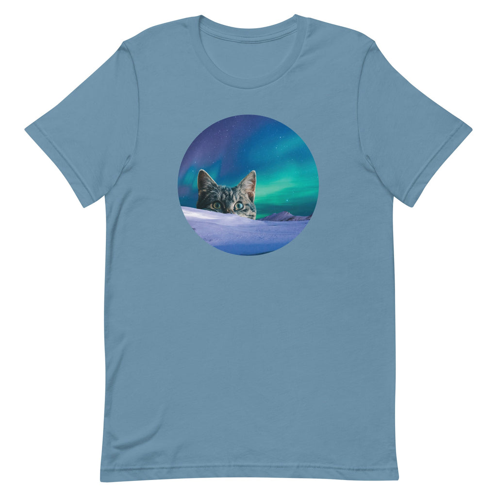 Meowthern Lights Men's Signature Tee