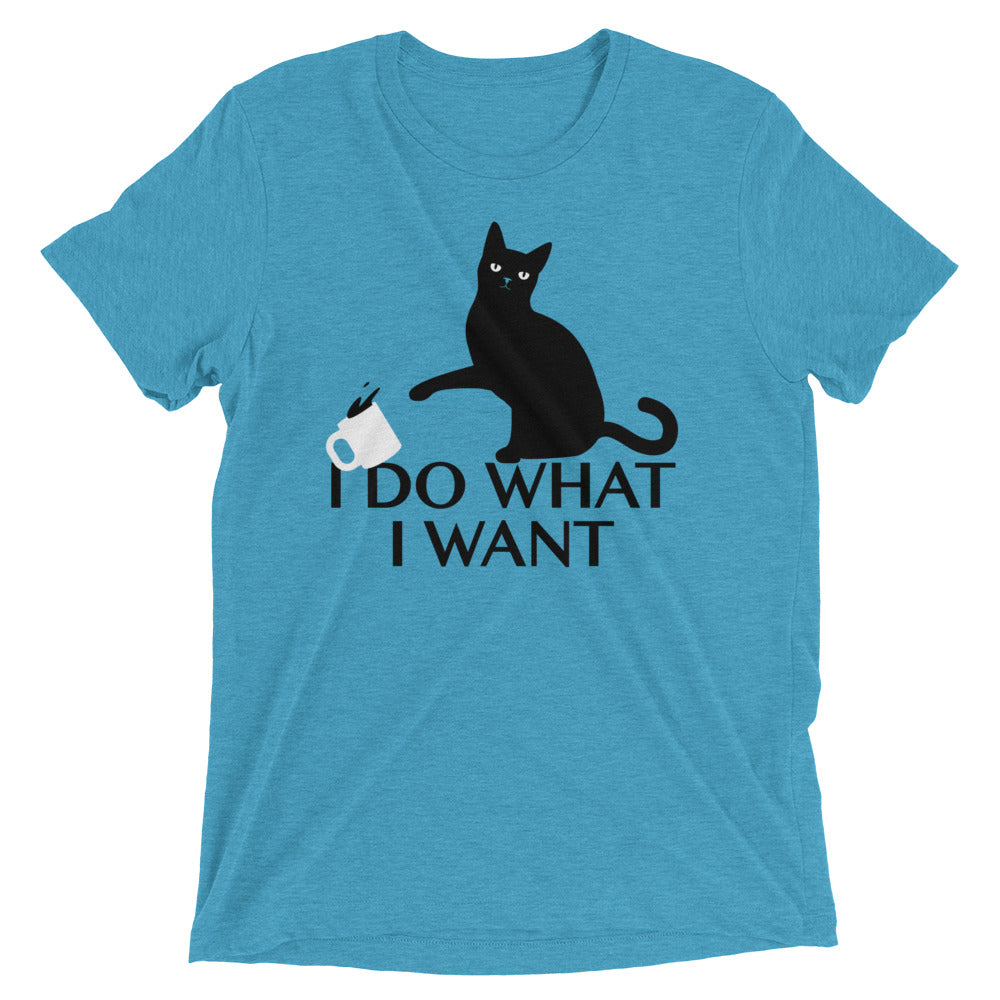 I Do What I Want Men's Tri-Blend Tee