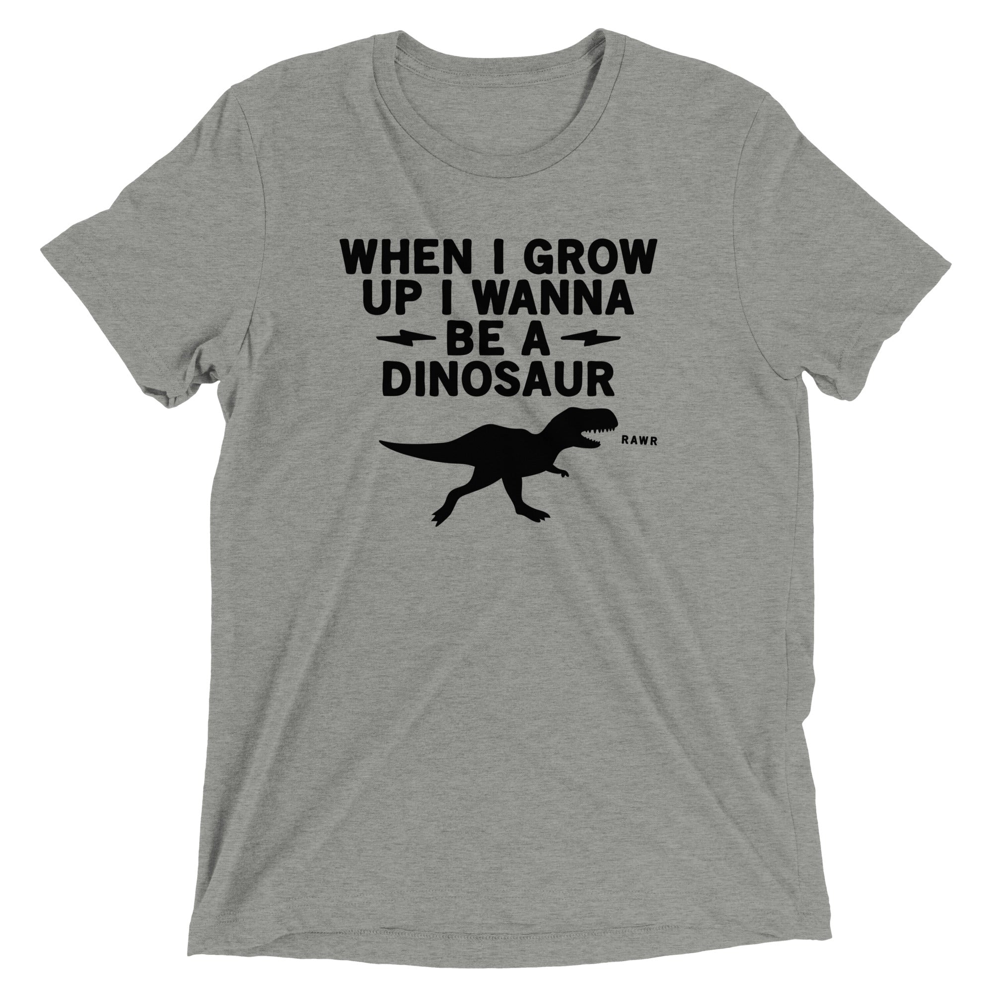 When I Grow Up I Wanna Be A Dinosaur Men's Tri-Blend Tee